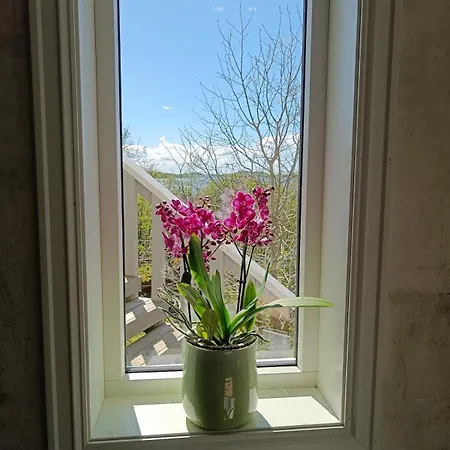 With Sea View Traelnes